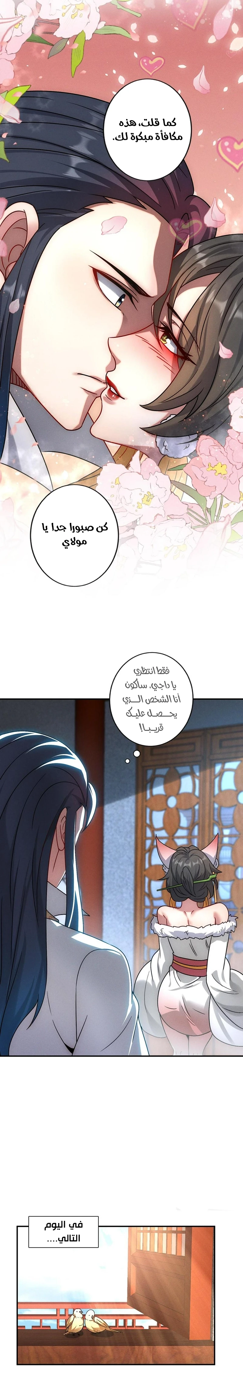 Chapter Image 5
